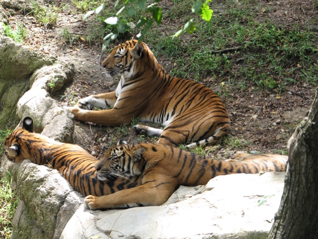 20100206 507.JPG